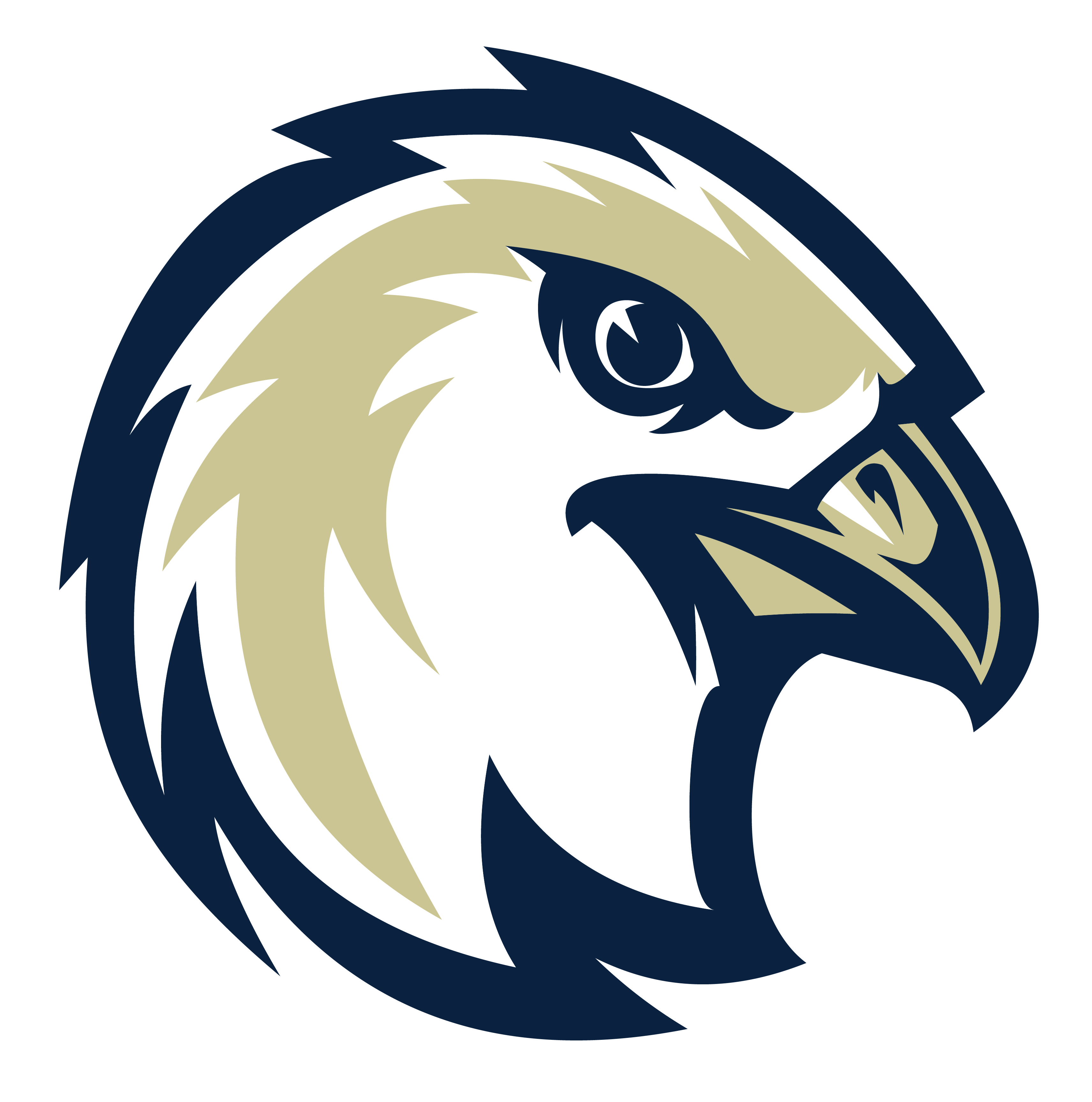 Riverhawks Round Logo